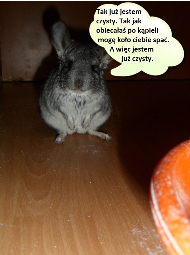 35. Zgłoszenie Karina P.