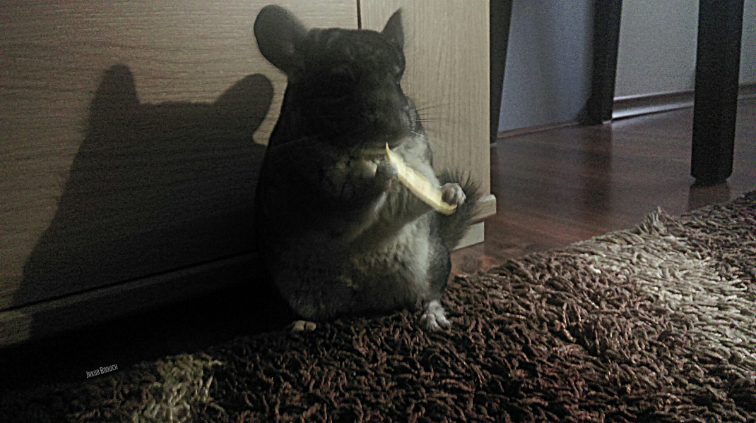 6. Jakub