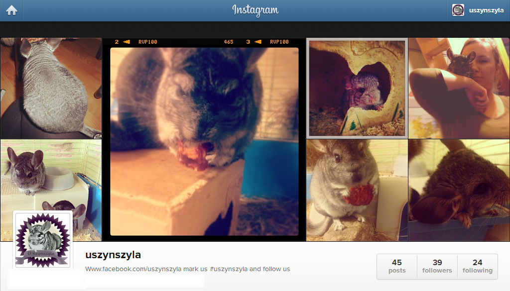 Instagram - U Szynszyla