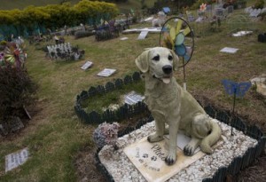 Colombia_Pet_Cemetery-2_t400