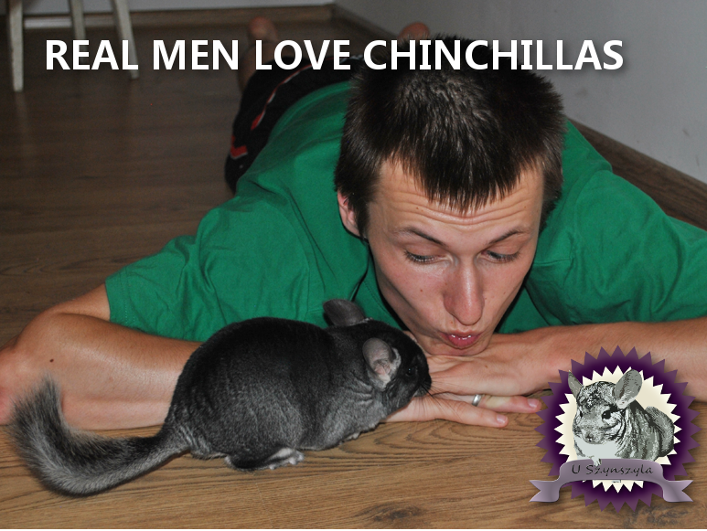 REAL MEN LOVE CHINCHILLAS