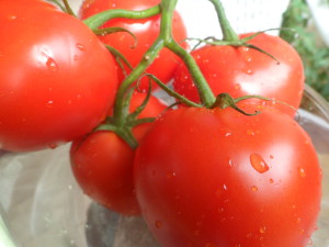 Czy szynszyle mogą jeść suszone pomidory?