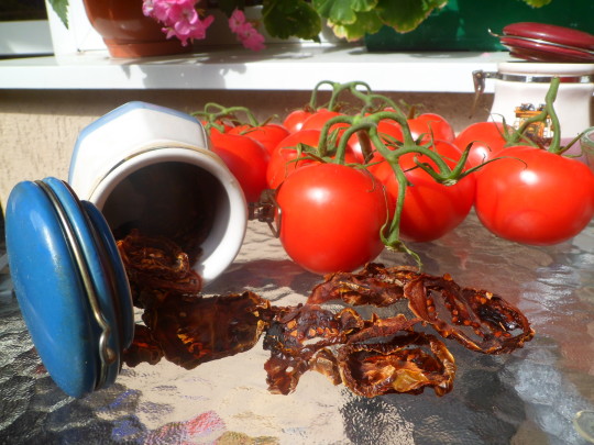 Czy szynszyle mogą jeść suszone pomidory?