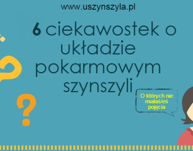 dieta-szynszyli-ciekawostki