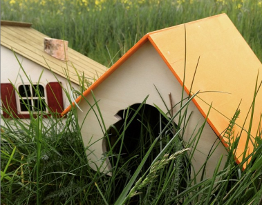 drewniany-domek-dla-szynszyli-pinokio