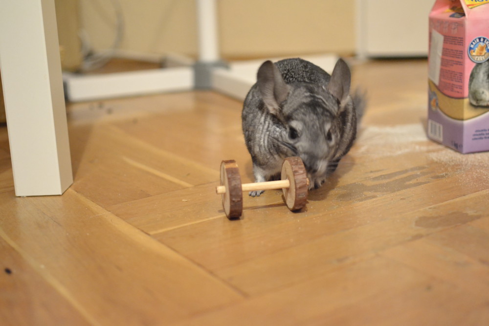 drewniana zabawka dla królików i gryzoni trixie - zabawka dla szynszyli - blog o szynszylach