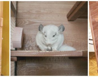 drewniana-woliera-dla-szynszyli-sklep