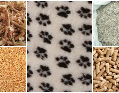 jaka-sciolka-dla-szynszyli