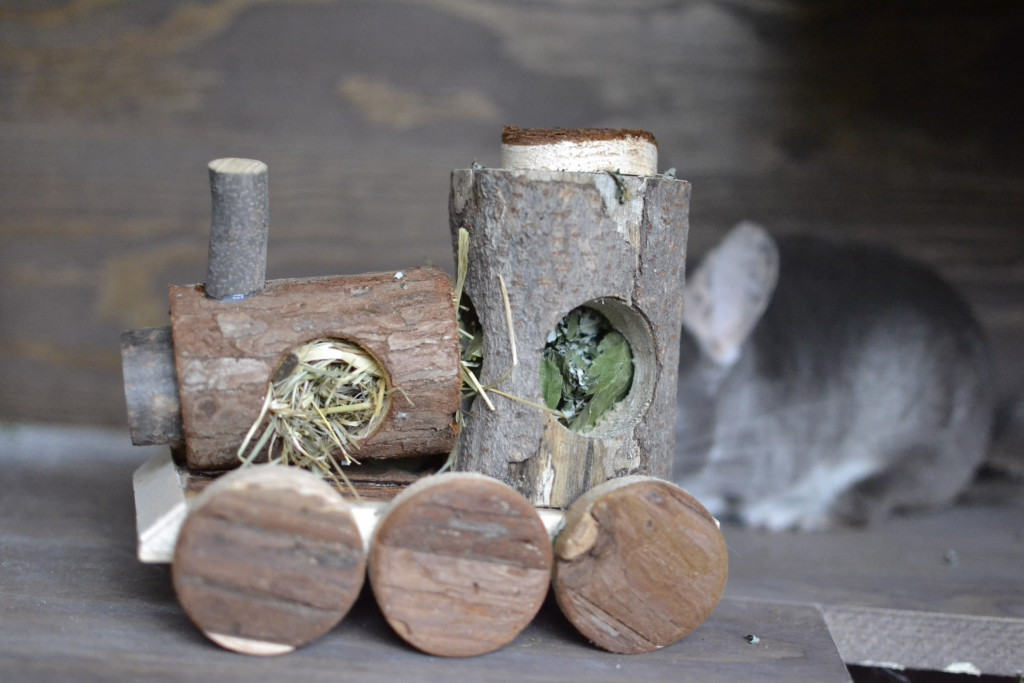 drewniane zabawki dla szynszyli - sklep hipcio blog o szynszylach