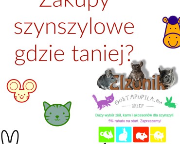 najlepszy-sklep-zoologiczny-dla-gryzoni