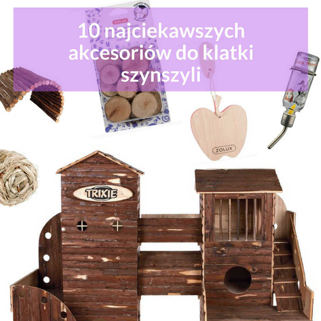 akcesoria-dla-szynszyli-fera.pl-blog-o-szynszylach