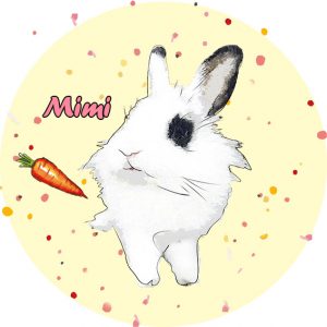uszynszyla blog o szynszylach - ile lat żyją króliki - uszatkowe rady blog o królikach