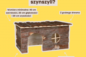 Jak wybrać dobry drewniany domek dla szynszyli sklep gryzonje